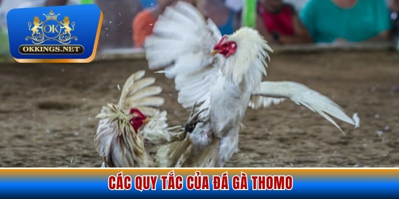 Các quy tắc của đá gà Thomo