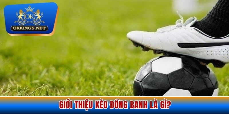 Tổng quan chung nhất về kèo đồng banh là gì
